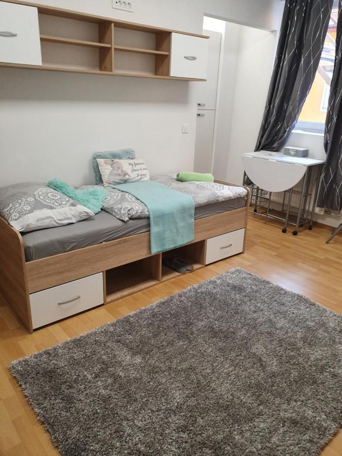 Maribor City Center Minidorm Apartment מראה חיצוני תמונה