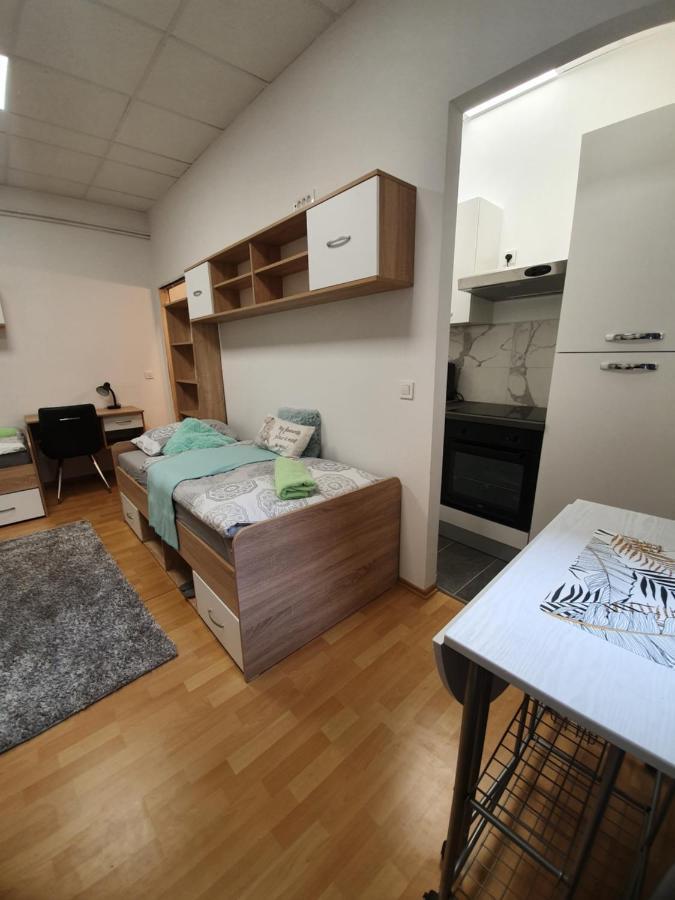 Maribor City Center Minidorm Apartment מראה חיצוני תמונה